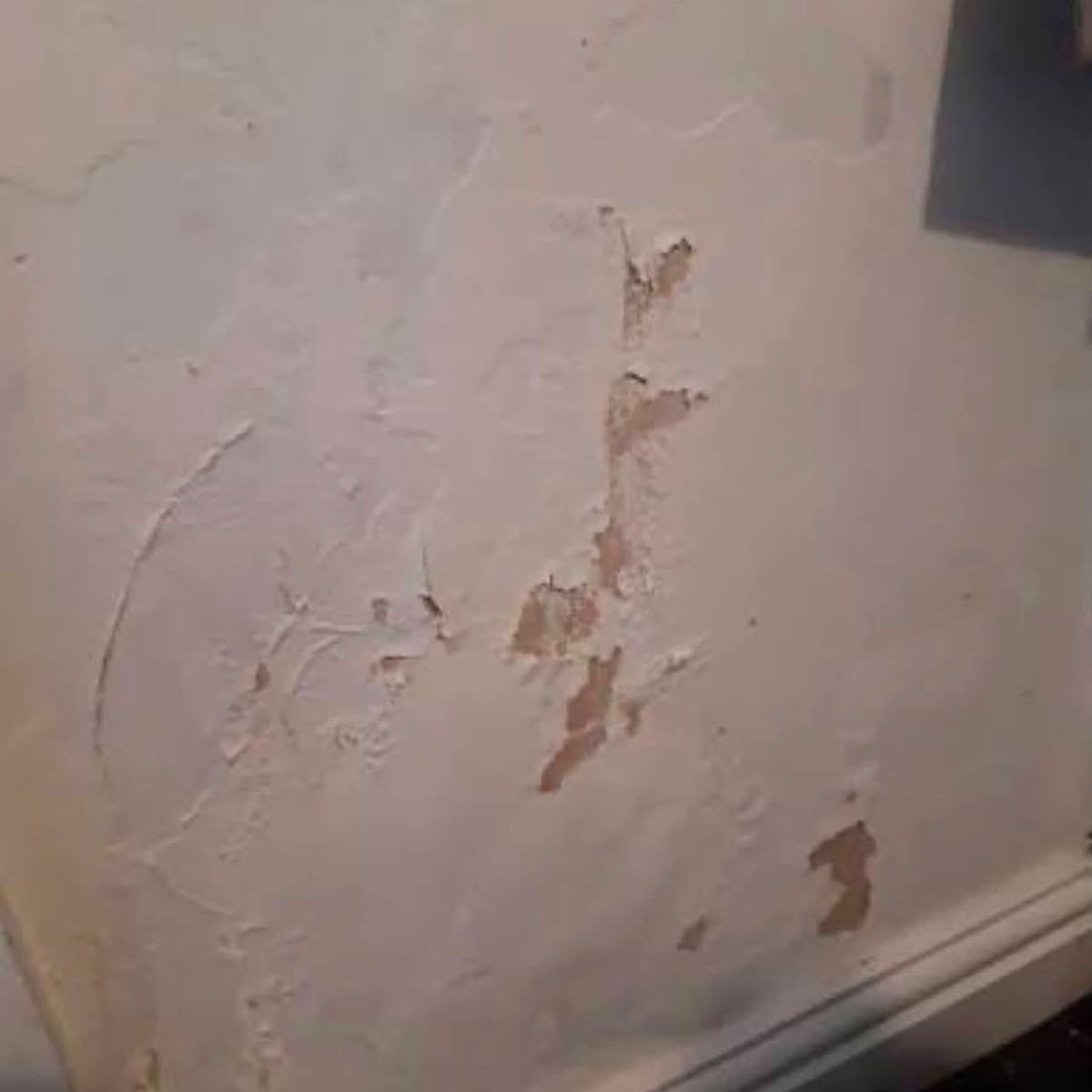 Plaster bubbling and flaking away from a wall